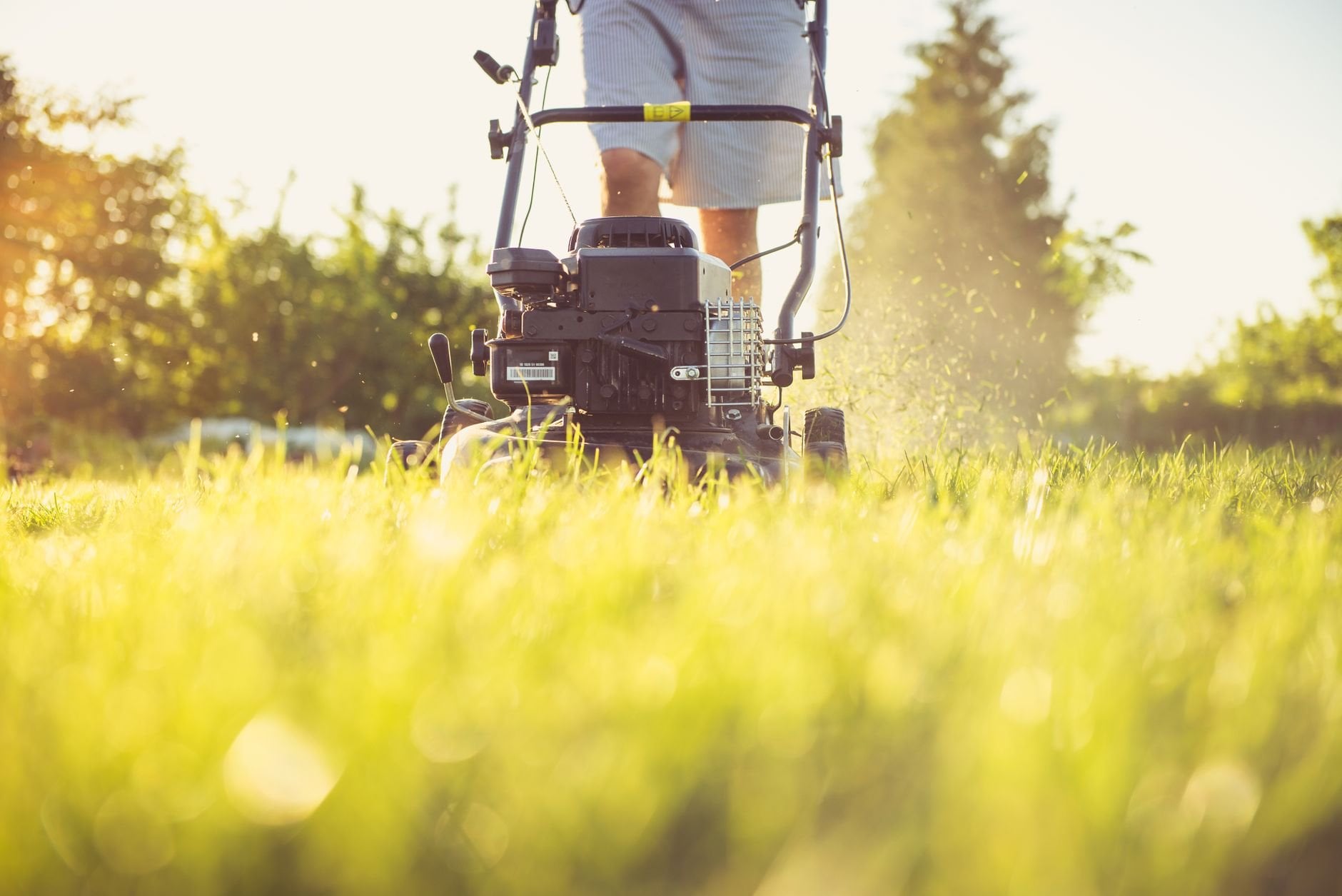 Person mowing a lawn on a sunny summer day